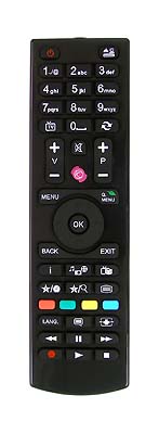 Gogen TVF43E384WEB replacement remote control different look