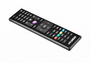Hyundai HL 24111 replacement remote control different look