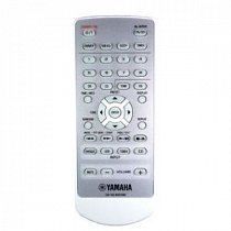 TSX-100 White, WK970800 original remote control